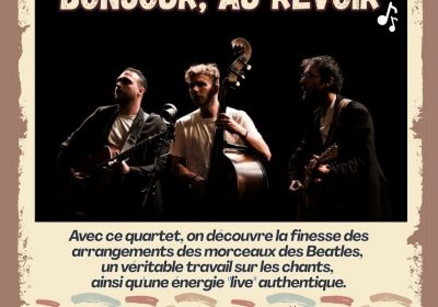 Concert – Hallo, tot ziens!